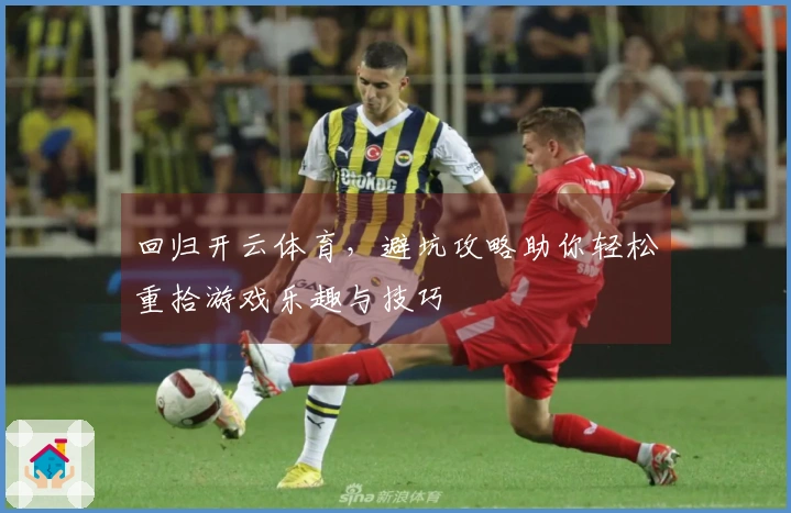 回归开云体育，避坑攻略助你轻松重拾游戏乐趣与技巧